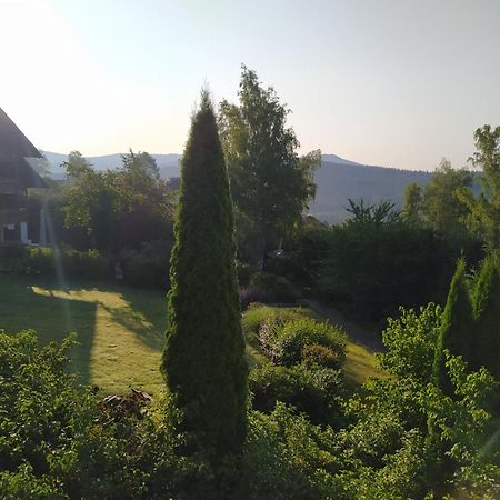 Apratman Julie - Bavorska Ruda Apartment Bayerisch Eisenstein Luaran gambar
