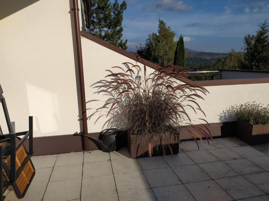 Apratman Julie - Bavorska Ruda Apartment Bayerisch Eisenstein Luaran gambar